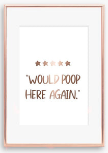 Would poop here again bathroom print