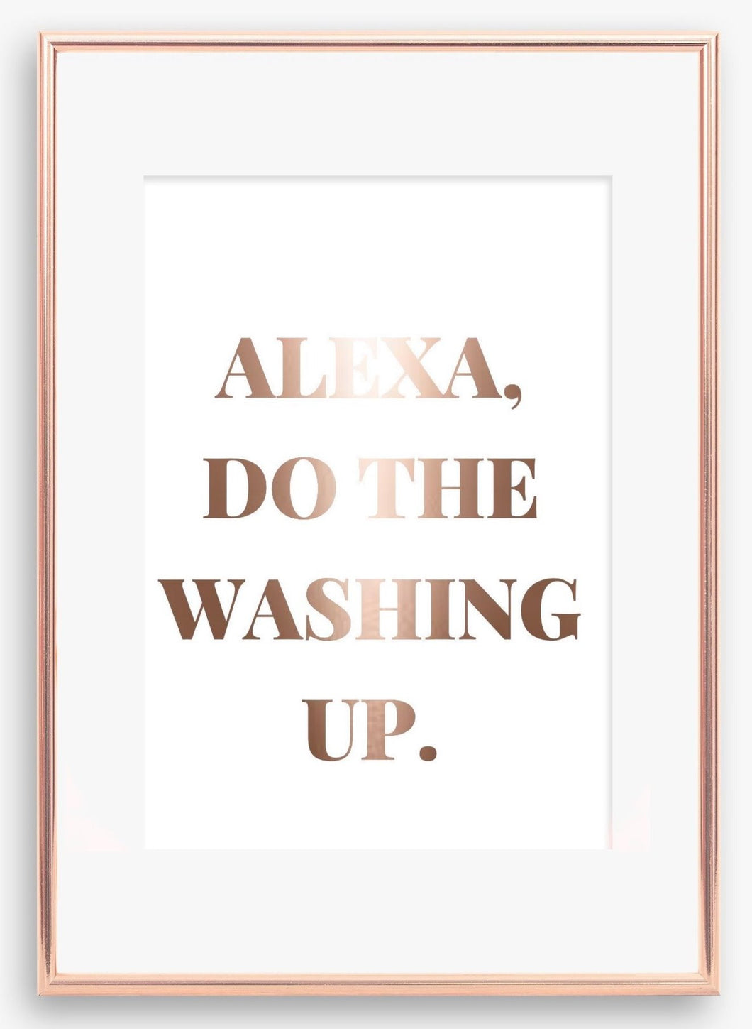 Alexa do the washing up