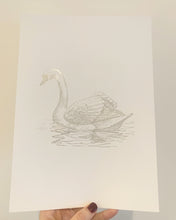 Load image into Gallery viewer, Swan Print